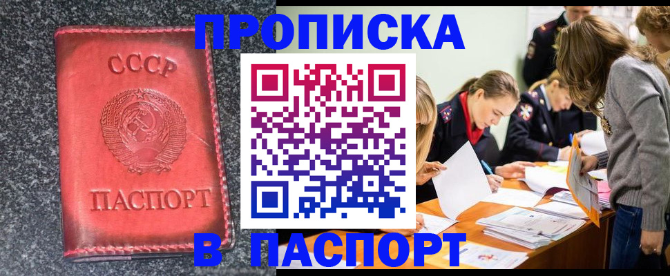 прописка для школы в Светлом
